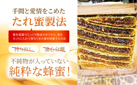 【先行予約】日本ミツバチの天然生はちみつ（百花蜜）200g【白木酒店】国産はちみつ[HAQ031]