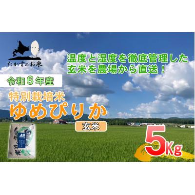 ふるさと納税 鷹栖町 令和7年産新米予約 たかすのお米 特別栽培米 ゆめぴりか 5kg(玄米)
