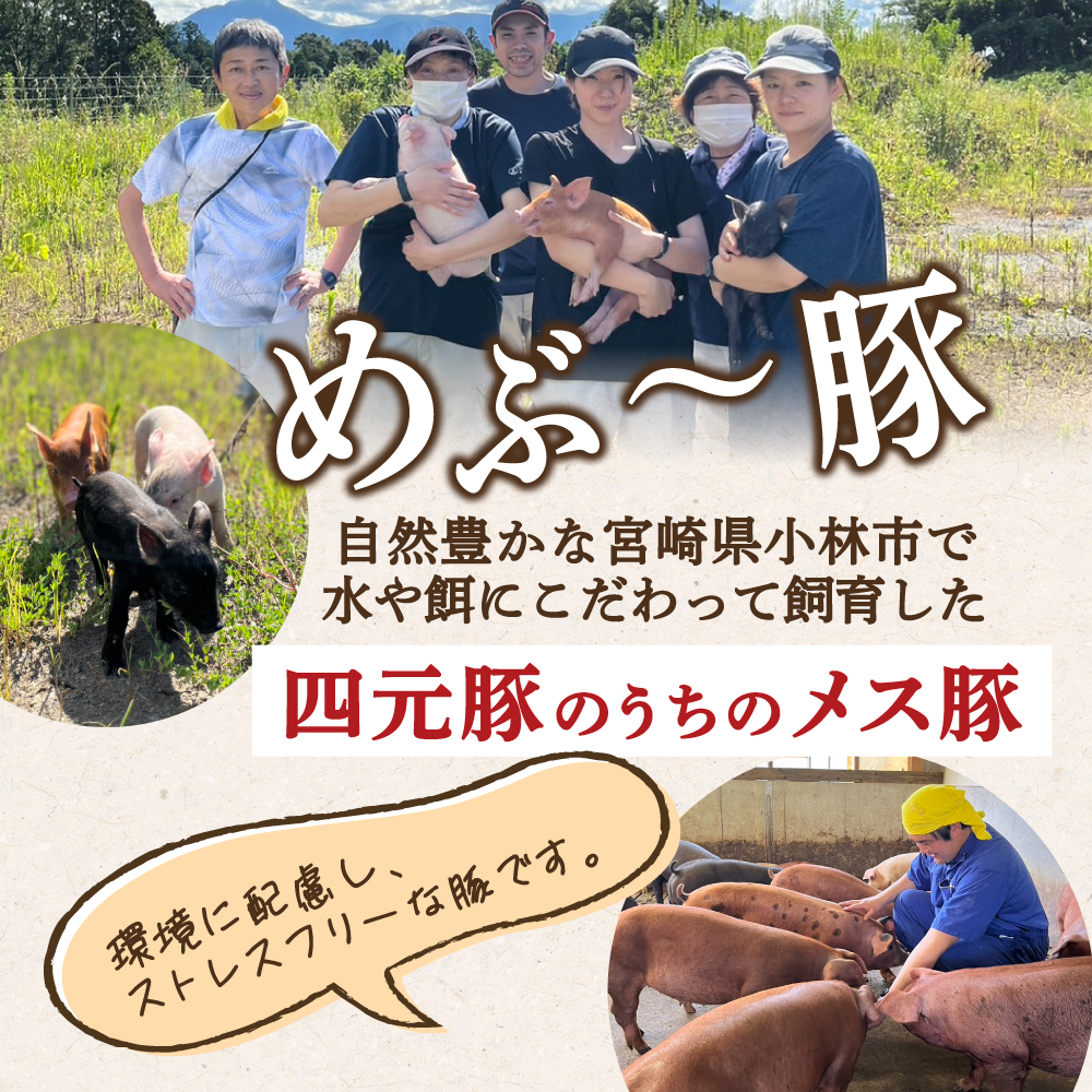 【EAS114】【地元ブランド豚】めぶ～豚 豚バラしゃぶしゃぶ 3.2kg（豚肉 豚 お肉 豚バラ バラ しゃぶしゃぶ用 小分け）_イメージ2