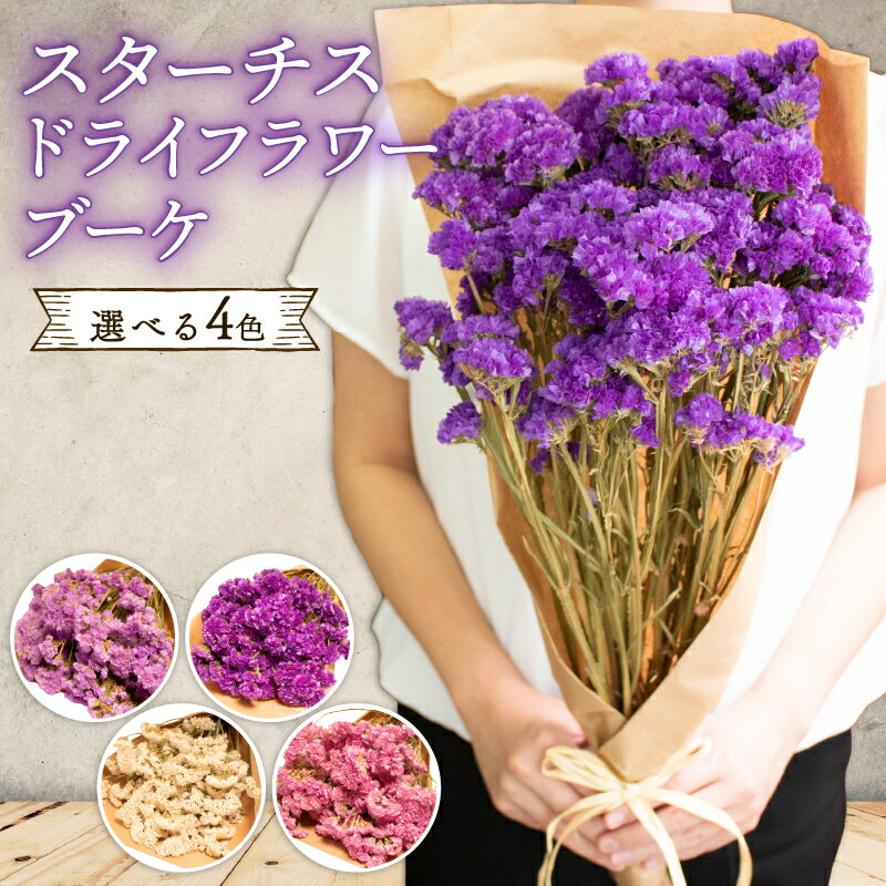 【ふるさと納税】 色 選べる 花束 ドライフラワー ブーケ プレゼント ピンク 紫 薄紫 白 スターチス 天然 母の日 や 父の日 の ギフト 誕生日 記念日 にも フラワーギフト 花 お花 ラッピング 可能 贈答用 期間限定 数量限定 花屋 能登 石川 復興支援 羽咋