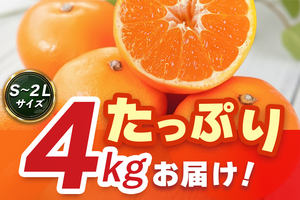 【2026年10月上旬より発送開始】佐賀美人(みかん) 4kg S～2Lサイズ【みかん ブランドみかん 柑橘 酸味 フルーツ デザート】(H116142)