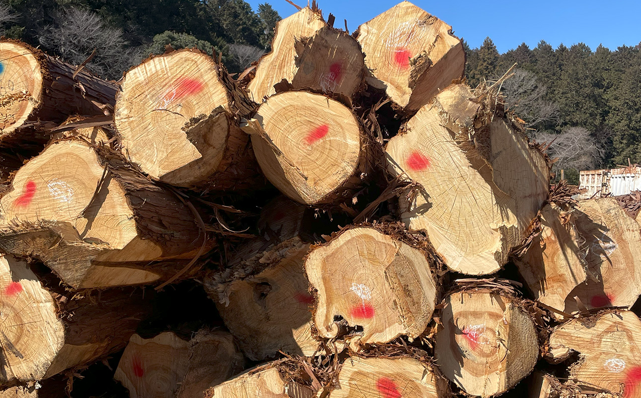 三重県 尾鷲（オワセ）ヒノキ使用、職人技「伊勢逢わせ」一枚板テーブル　幅1,500×奥行750～850×高さ約720mm　【家具 インテリア 一枚板 おすすめ ブランド メーカー オーダーメイド 手作