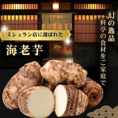 【ミシュラン店が採用】極み海老芋(えびいも)　2kg(孫芋)【1787989】
