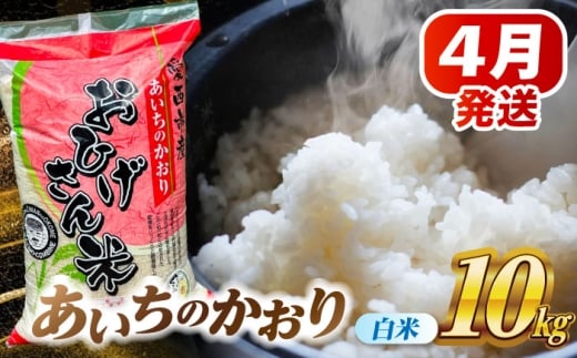 【4月発送】あいちのかおり 白米 10kg 米 お米 10kg 10キロ 白米 精米 新米 コメ ご飯 ごはん 愛知県産 国産 県産米 国産米 あいちのかおり 発送 時期 選べる 産地直送 30000円 3万円 令和7年 愛西市 / 脇野コンバイン [AECP002-7]