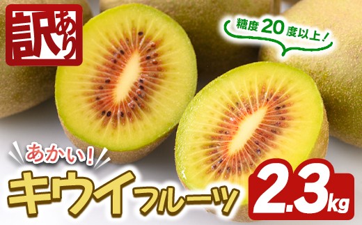 
                  ＜先行予約受付中！2026年10月以降順次発送予定＞【訳あり】茨城県産 あかいキウイ 2.3kg キウイ キウイフルーツ 果物 フルーツ 青果物 先行予約 訳あり 【こばしファーム】【ho1651】
                