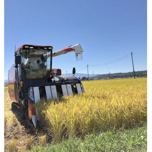 【令和7年産】特別栽培雪若丸　精米 5kg【1676081】