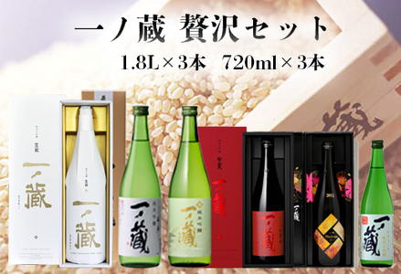 (00224)一ノ蔵贅沢セット