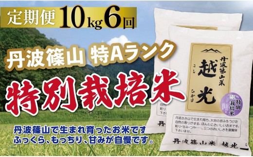 〈定期便 特Aランク 減農薬〉令和7年産 丹波篠山産 特別栽培米 コシヒカリ 越光  【 10kg ( 5kg × 2袋 ) 6回 】 | 丹波篠山 お米 おこめ ブランド米 ごはん ご飯 白米 米 コメ こめ 精米 精白米 おいしい米 美味しいお米 兵庫県 お取り寄せ こしひかり コシヒカリ
