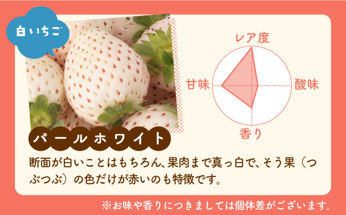 【産地直送】希少 白いちご「パールホワイト」220g×4パック [IZZ020]