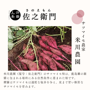 【ふるなびWEEK対象】佐之衛門の焼き芋　6種食べ比べセット　Sサイズ8～9本（1kg程度） FN-Limited-PR