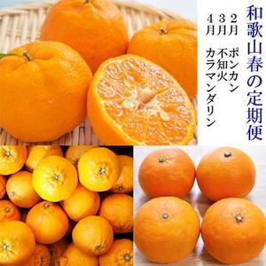 【発送月固定定期便】和歌山の春柑橘定期便全3回【4004526】