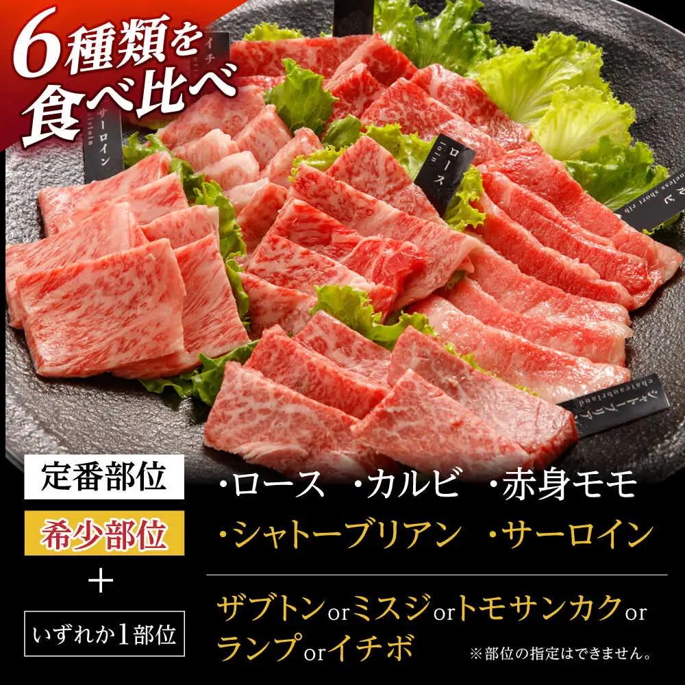 〈シャトーブリアン入り〉希少部位 焼肉 6種食べ比べセット 600g(各100g) / シャトー サーロイン カルビ モモ ロースザブトン ミスジ トモサンカク イチボ ランプ 長崎和牛 国産 牛肉 
