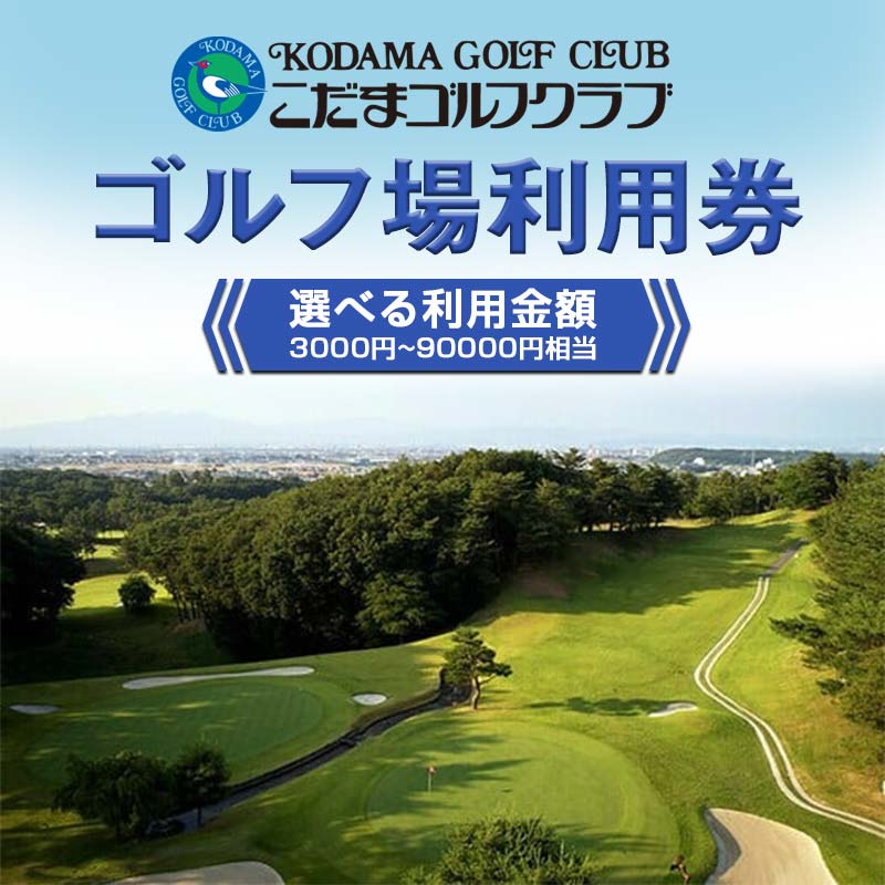 【ふるさと納税】こだまゴルフクラブ ゴルフ場利用券 3000円券～90000円券 F5K-501var