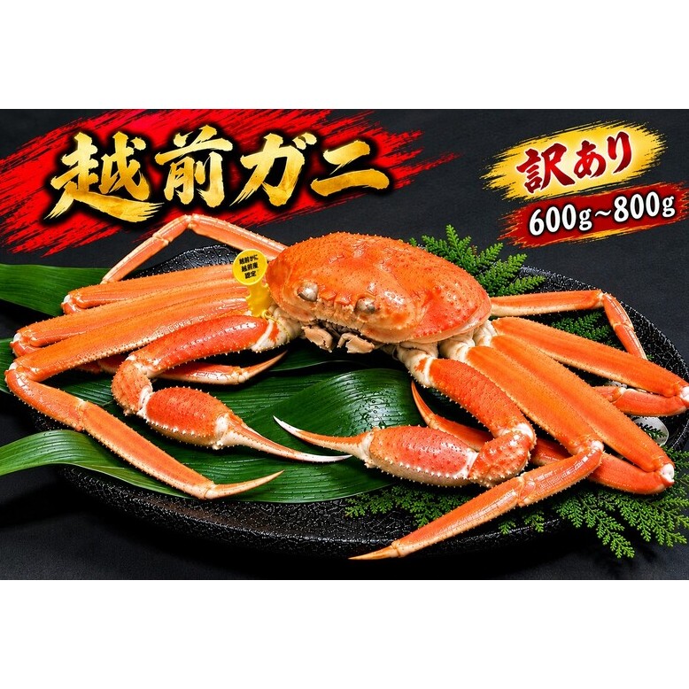 【11/15～30出荷】越前ガニ 訳あり 1本足折れ 600g～800g
