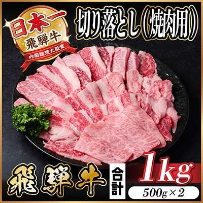 飛騨牛　厳選切り落とし(焼肉・BBQ用)　1kg(500g×2)　訳あり　黒毛和牛　小分け【配送不可地域：離島】【1487351】