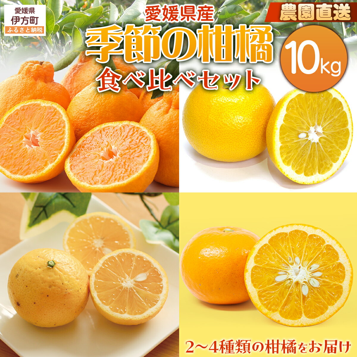 【ふるさと納税】【栽培期間中農薬不使用】【先行受付】【農家厳選】木野本農園 季節の柑橘食べ比べセット 10kg （2025年11月頃より順次発送） 【ふるさと納税 人気 おすすめ 柑橘 みかん 蜜柑 食べ比べ フルーツ 産地直送 ギフト 贈り物 愛媛県 伊方町 送料無料】 IKTG014