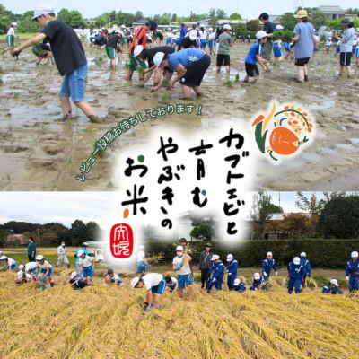 ふるさと納税 矢吹町 令和7年産米【真空包装】カブトエビと育む、栽培期間中農薬を減らしたやぶきのお米 コシヒカリ 5kg |  | 03