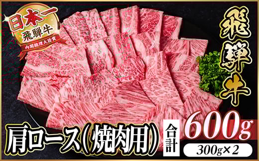 飛騨牛 厳選肩ロース(焼肉・BBQ用)　600g(300g×2)　黒毛和牛　小分け【1674158】