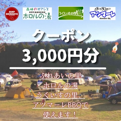
            ＜城里町ホロルの湯、ふれあいの里、うぐいすの里、アツマーレBBQで使えるクーポン券＞3,000円分 (BF019)
          