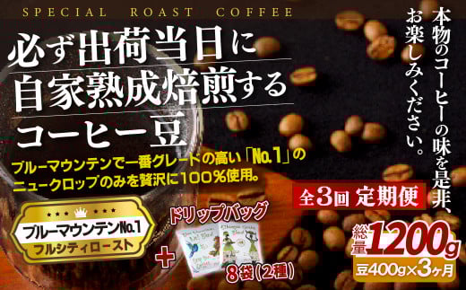 《定期便》必ず出荷日に自家熟成焙煎ブルーマウンテンNo.1豆(400g)＋ドリップバッグ8パック【3回お届け】