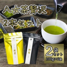 八女茶贅沢2本セット(100g×2袋)