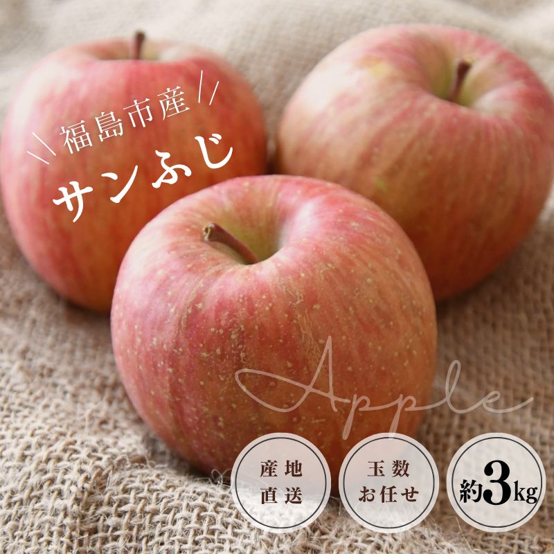 【ふるさと納税】No.1224 りんご「サンふじ」約3kg【2025年発送】