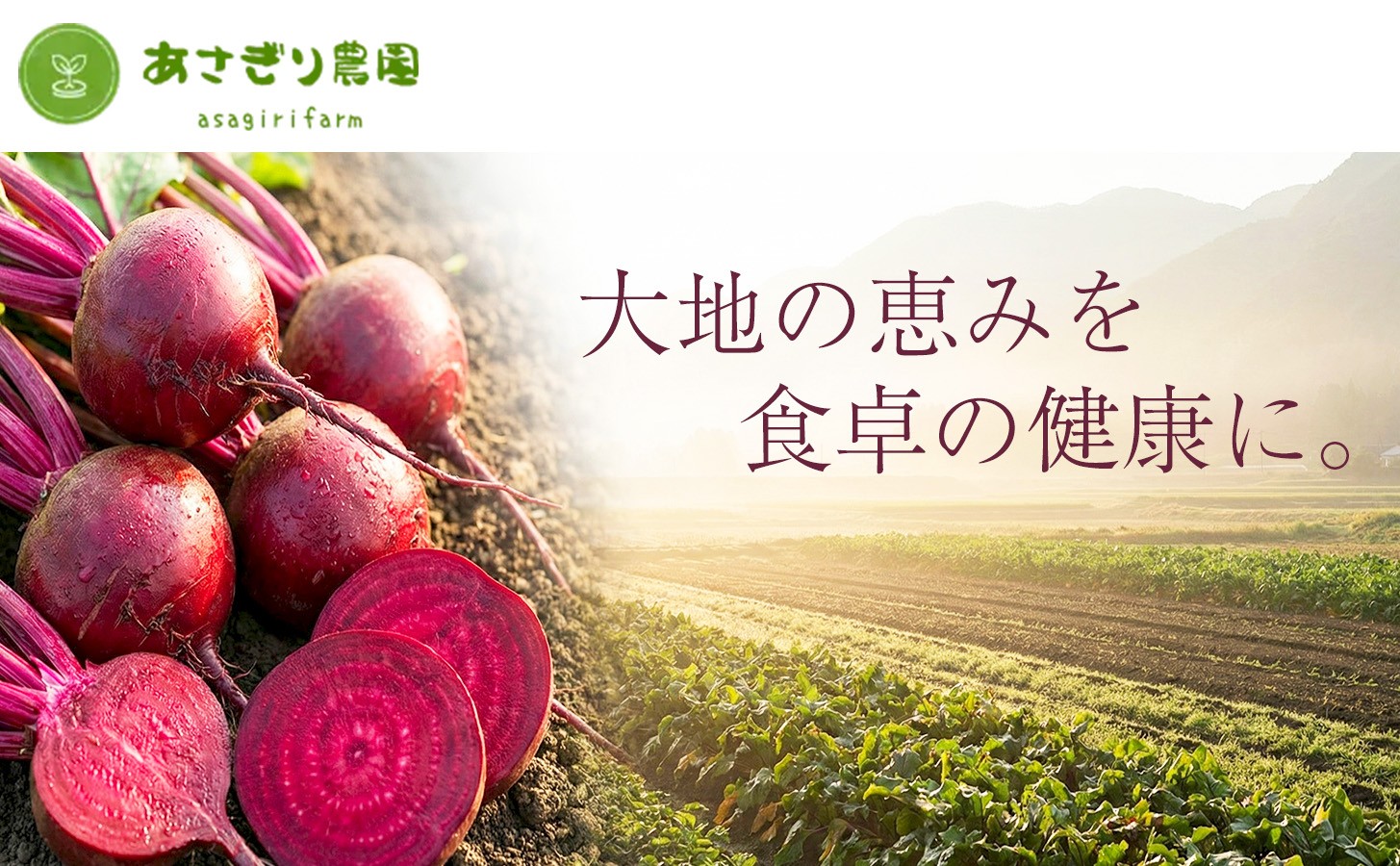 自社農園栽培 ビーツパウダー微粉末 100g（50g×2袋）