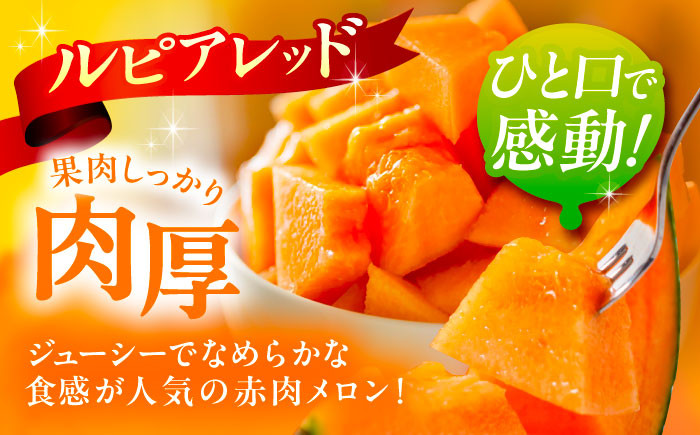 メロン 果物 フルーツ 果肉 赤肉系 旬 1.5kg ギフト 足寄町 北海道