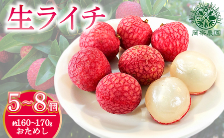 国産ライチ お試し160～170g【ライチ】