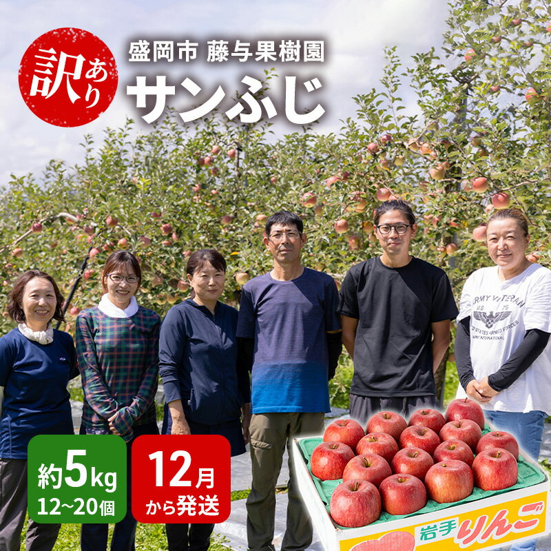 【ふるさと納税】【12月から発送】盛岡から「農で人をつなぐ」藤与果樹園《訳あり》サンふじ（約5kg） 12～23玉 玉数指定不可 果物類 フルーツ デザート 果汁 甘い 酸味 バランス 完熟 　お届け：2025年11月20日～2026年2月28日