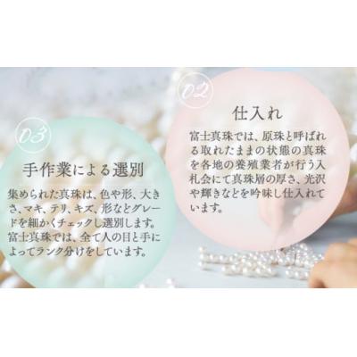 ふるさと納税 笠岡市 あこや真珠(ホワイトピンク)のピアス(8.5mm-9.0mm)ケース付き【F-04-WPピアス】 |  | 02