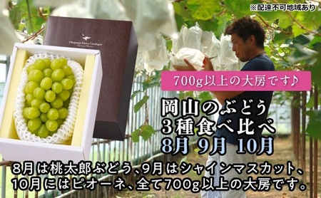 【2027年度発送】岡山のぶどう 3種 食べ比べ 3回 お届け 定期便 （8月・9月・10月）