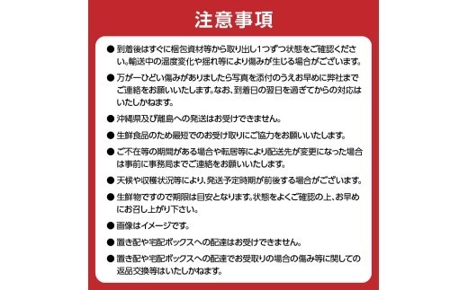 《先行受付》桃とシャインマスカットの詰合せ【2026年9月頃より順次発送予定】