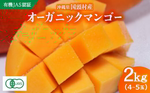 ＜有機JAS認証＞オーガニックマンゴー2kg(4～5玉)【1589198】