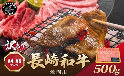 訳あり！【A4～A5】長崎和牛焼肉用 500g( 牛肉 牛 和牛 国産 焼肉 おすすめ 赤身 美味しい バーベキュー プレゼント ギフト 送料無料 お取り寄せ )【B2-205】