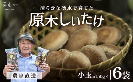 阿蘇・産山村産　原木生しいたけ小玉900g（150g×6袋）