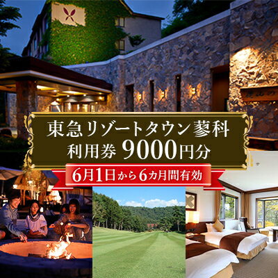 【ふるさと納税】東急リゾートタウン蓼科利用券(1,000円分×9枚)2025年6月1日から6か月間有効チケット【1421740】