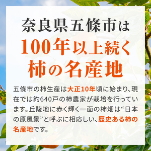 たねなし柿 約6.0kg ※着日時はご指定いただけません 10月中旬から11月中旬順次発送  | フルーツ 果物 くだもの 柿 かき カキ 奈良県 五條市