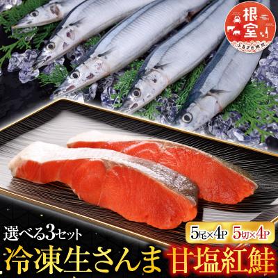 ふるさと納税 根室市 甘塩紅鮭5切×4P・冷凍生さんま5尾入×4Pセット C-70015