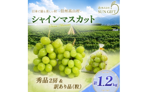 ＜2026年先行受付＞信州高山村産 ★シャインマスカット★秀品2房+訳あり品(粒)　合計1.2kg!【1741837】