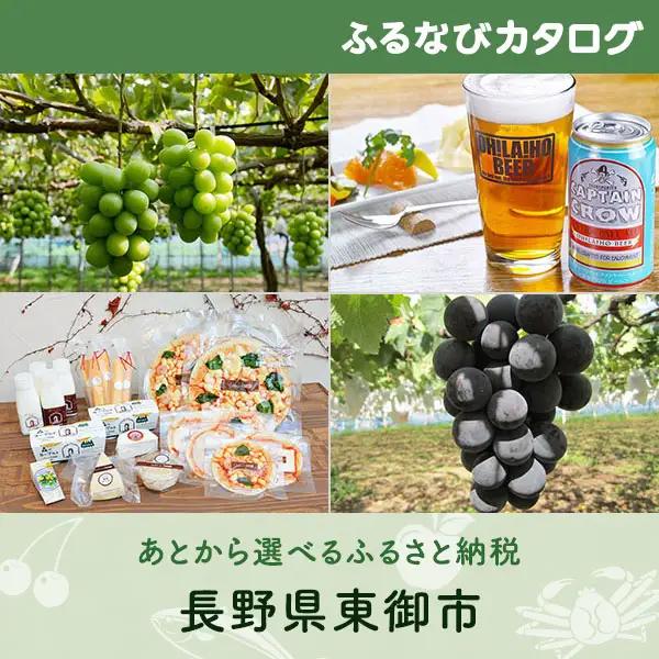 【有効期限なし！後からゆっくり特産品を選べる】長野県東御市カタログポイント