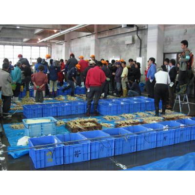 ふるさと納税 岩美町 鳥取網代港 朝獲れ直送!旬の天然魚セット【さかなや新鮮組】 |  | 03