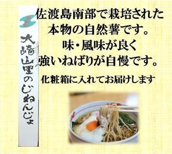 佐渡産自然薯