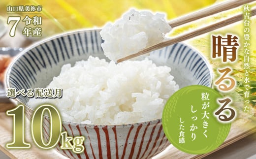 令和7年度産 新米 晴るる 白米 10kg 先行予約 ＜ 2025年10月中旬～より順次発送予定 ＞ ｜ 精米 新米 白米 米 雑穀 お米 コメ 単一米 晴るる はるる  山口 美祢 秋吉台 10kg
