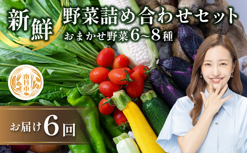 【定期便6回】新鮮 野菜 詰め合わせ セット