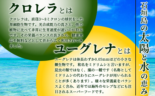 ≪そうめん≫そうめん≫石垣島のユーグレナ＆クロレラ入り乾麺(4セット入り化粧箱×１箱、合計４セット）※（1セットそうめん180ｇ1袋、特製つゆ2食入り）【そうめん ソーメン ユーグレナ 健康 美容 素