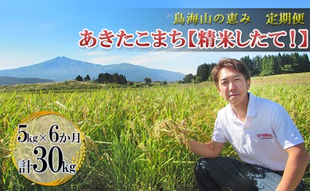 【先行予約】《定期便 6か月》 あきたこまち 5kg  精米 あきたこまち R8年産