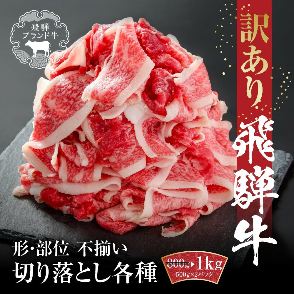 【ふるさと納税】訳あり 飛騨牛 切落とし 1kg(500g×2パック) 冷凍真空パック | 肉 牛肉 切り落とし 薄切り すき焼き すきやき 黒毛和牛 和牛 人気 おすすめ 牛肉 飛騨高山ミート MZ035