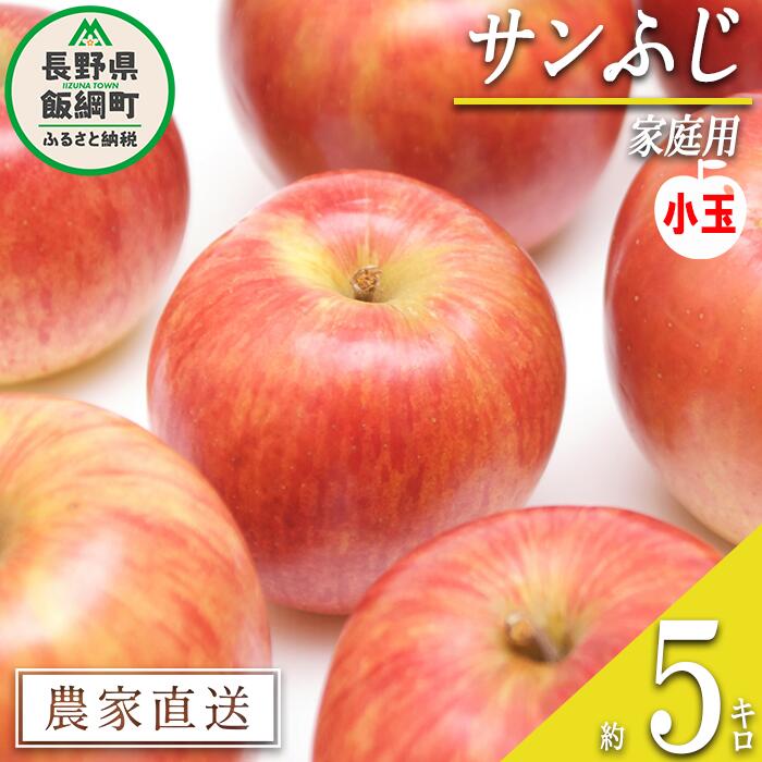 【ふるさと納税】 りんご サンふじ 家庭用 ( 小玉 ) 5kg 丸山功農園 沖縄県への配送不可 令和7年度収穫分 長野県 飯綱町 〔 信州 果物 フルーツ リンゴ 林檎 長野 11000円 予約 農家直送 〕発送時期：2025年11月中旬〜2025年12月中旬 {**}