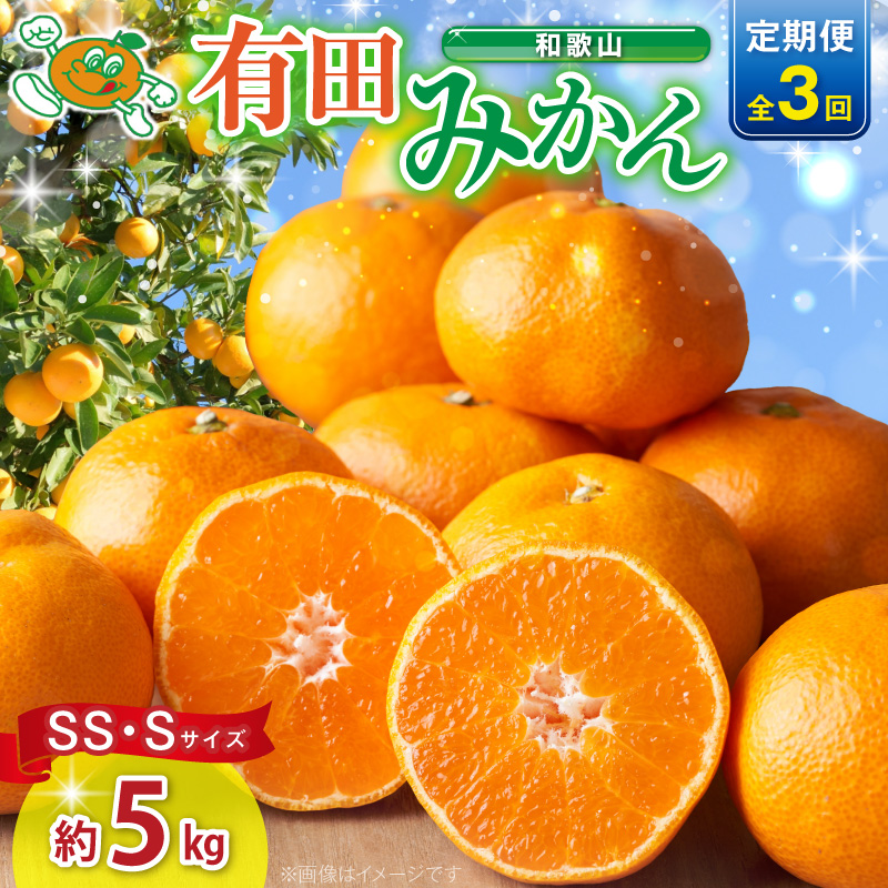 【3回定期便】【2026年先行予約】和歌山 有田みかん 約5kg（SS・Sサイズ）【湯浅町】_ZJ60-T01